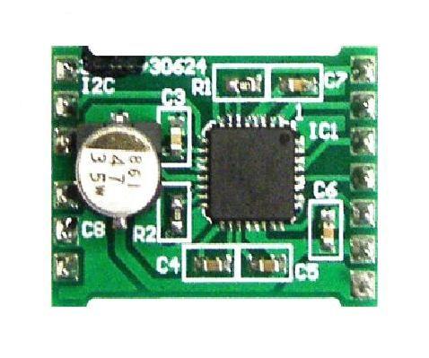 AM306245R1DBGEVB